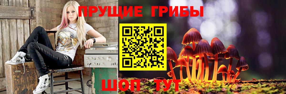 Галлюциногенные грибы Magic Shrooms  Вход с VPN  Шуя  Галлюциногенные грибы MAGIC MUSHROOMS 